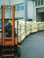 SCAN0017.JPG